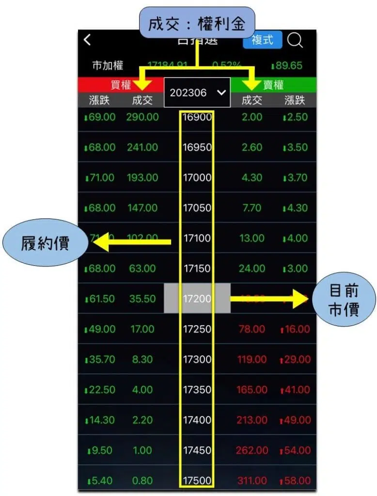 選擇權操作介面